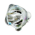 Toshiba TLPLP8 Projector Lamp For TDP P8 Projector